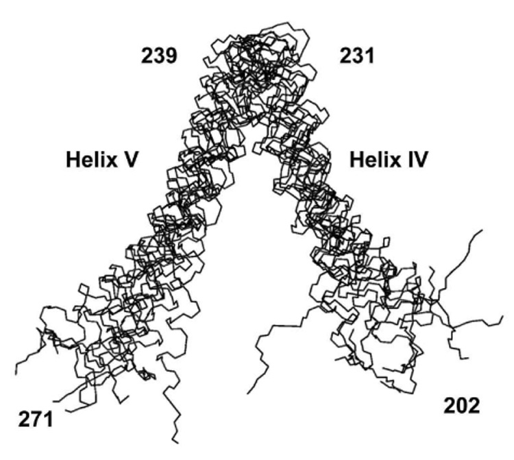 Fig. 9