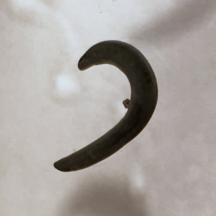 Figure 20