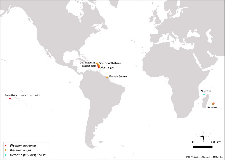 Figure 28