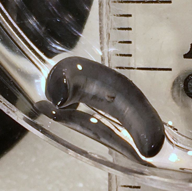Figure 21
