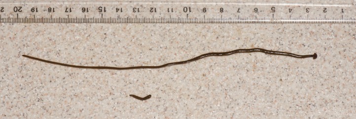 Figure 8
