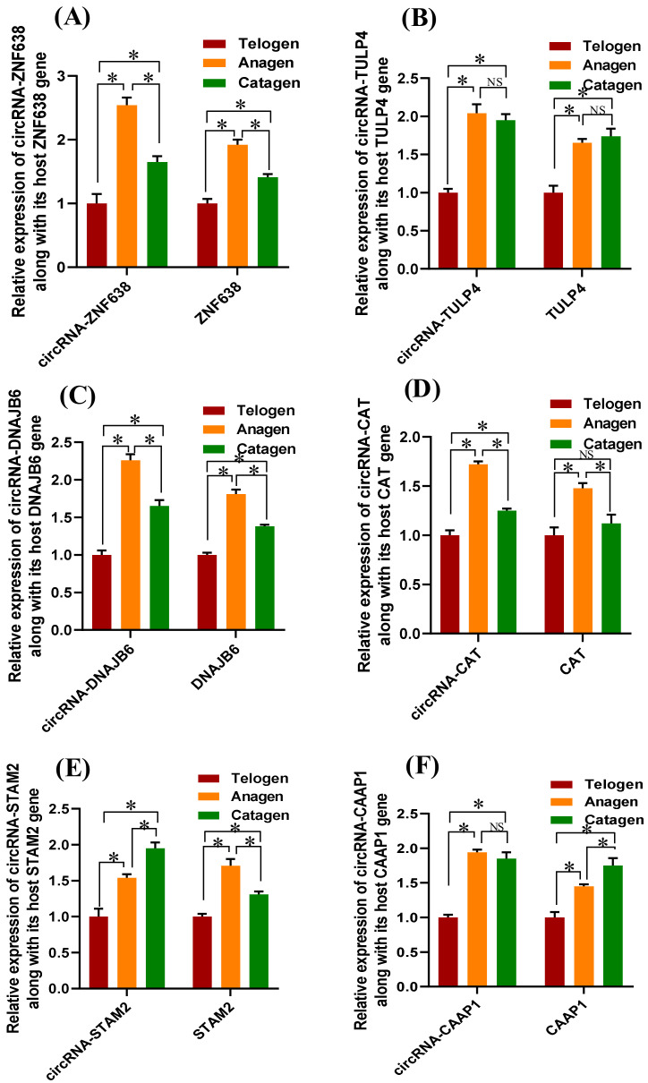 Figure 7