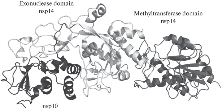 Fig. 3. 