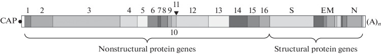 Fig. 1. 