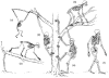 Fig. 12