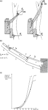 Fig. 13
