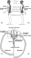 Fig. 18