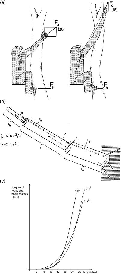 Fig. 13