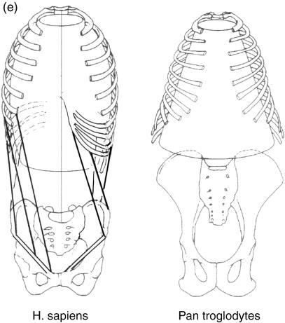 Fig. 14