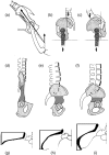 Fig. 15
