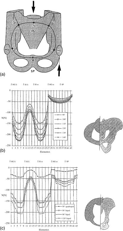 Fig. 16