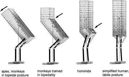 Fig. 17