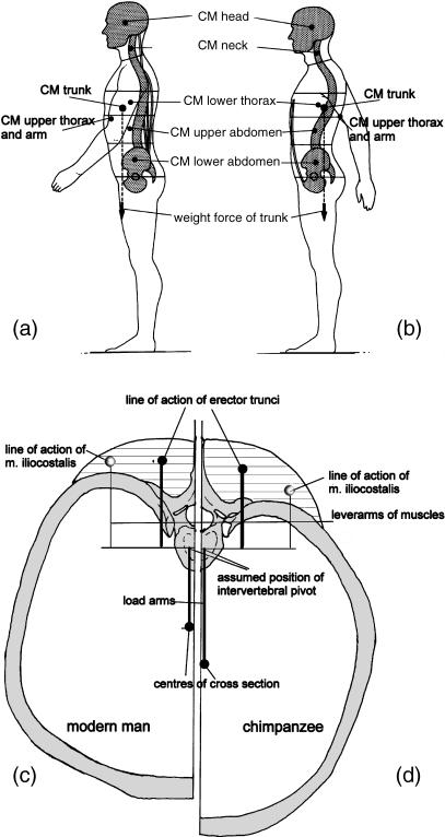 Fig. 18