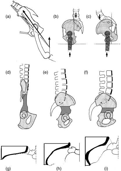 Fig. 15