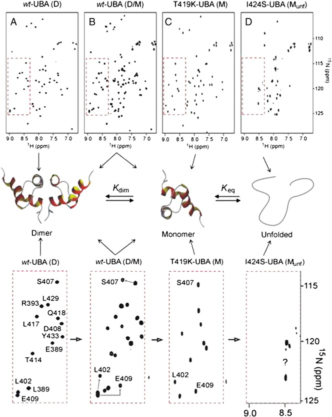 Supplementary Fig. S2