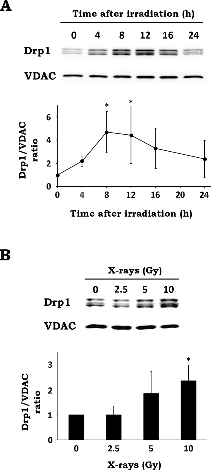 FIGURE 2: