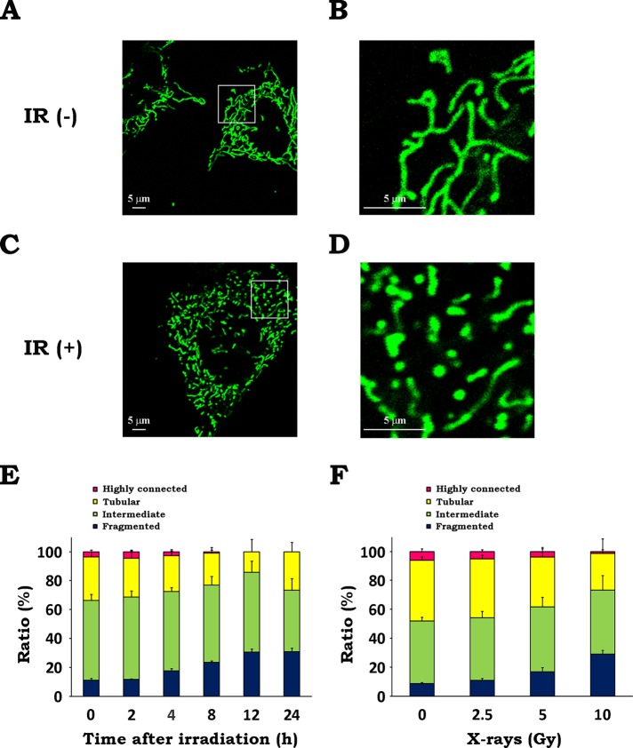 FIGURE 1: