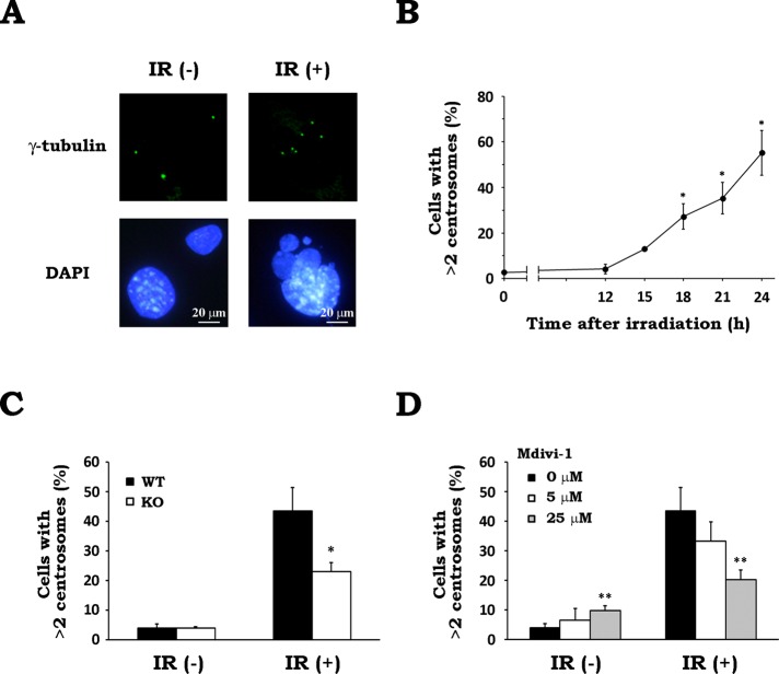 FIGURE 6: