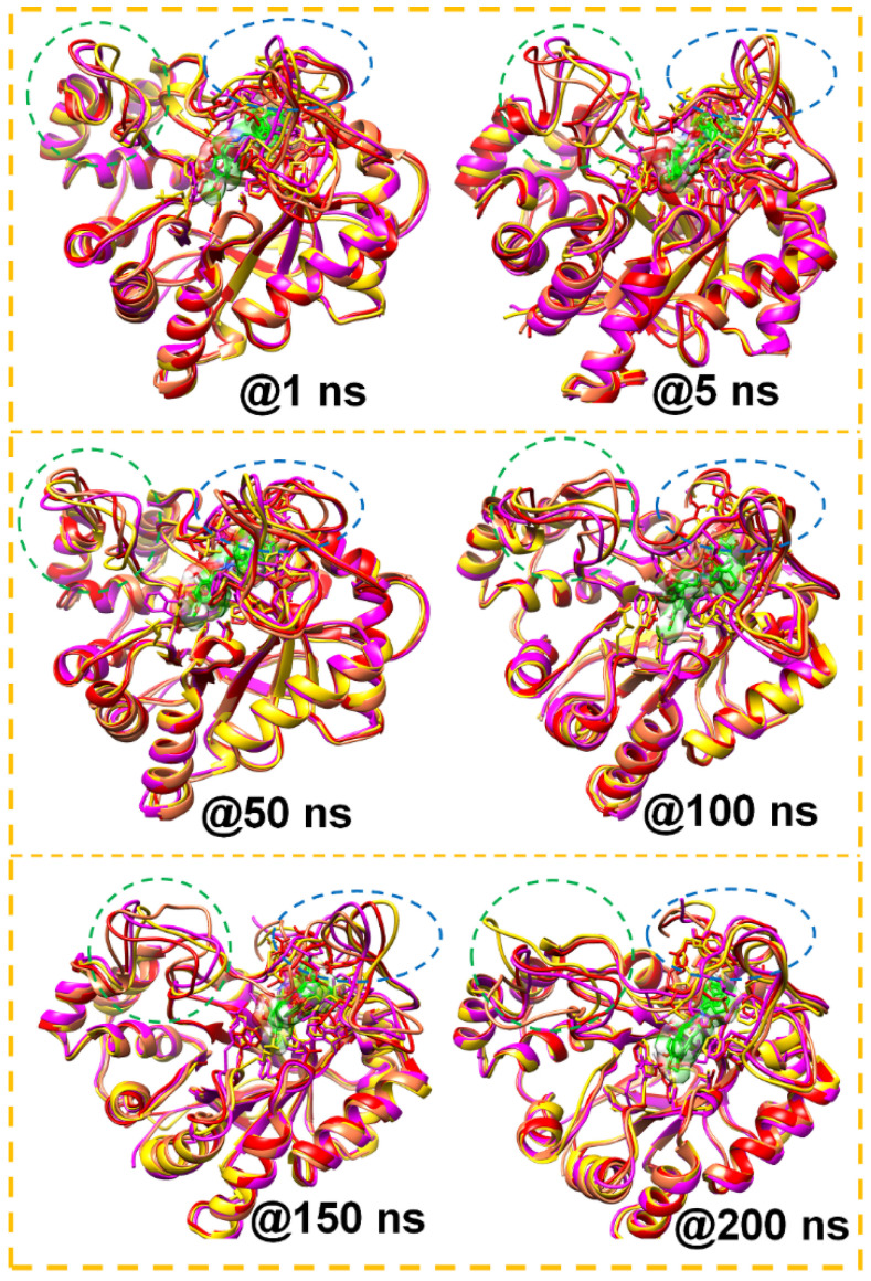 Figure 9