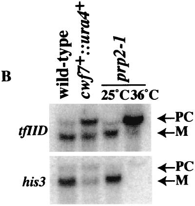 FIG. 5.