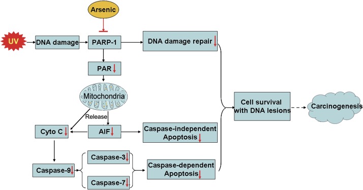 FIG. 7.