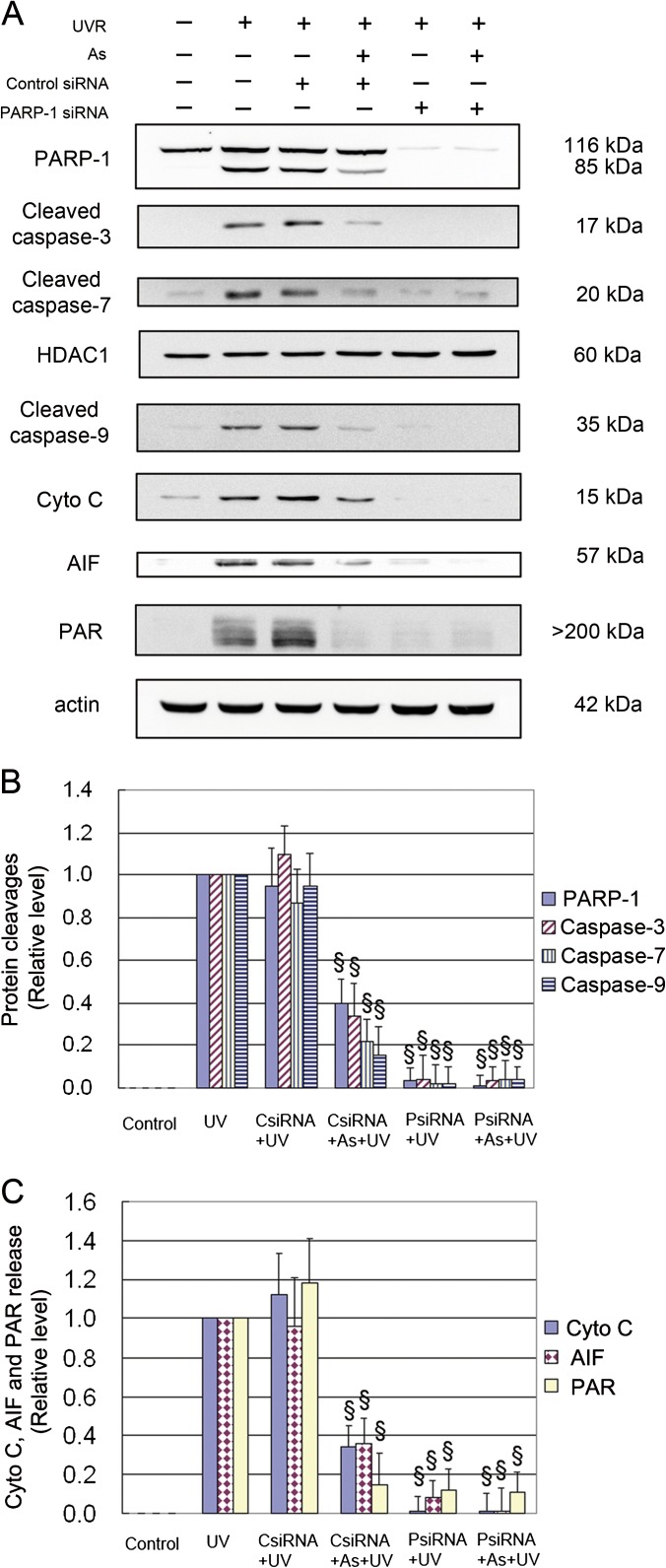 FIG. 5.