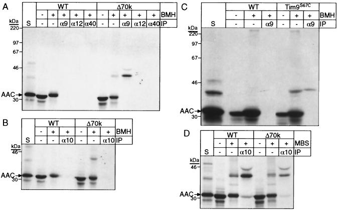 FIG. 7