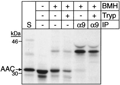 FIG. 8