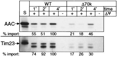 FIG. 6