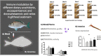 Image, graphical abstract