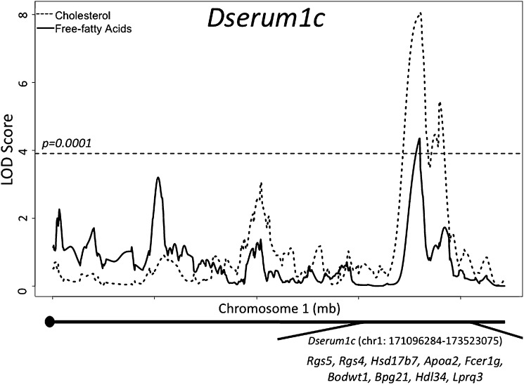 Fig.1.