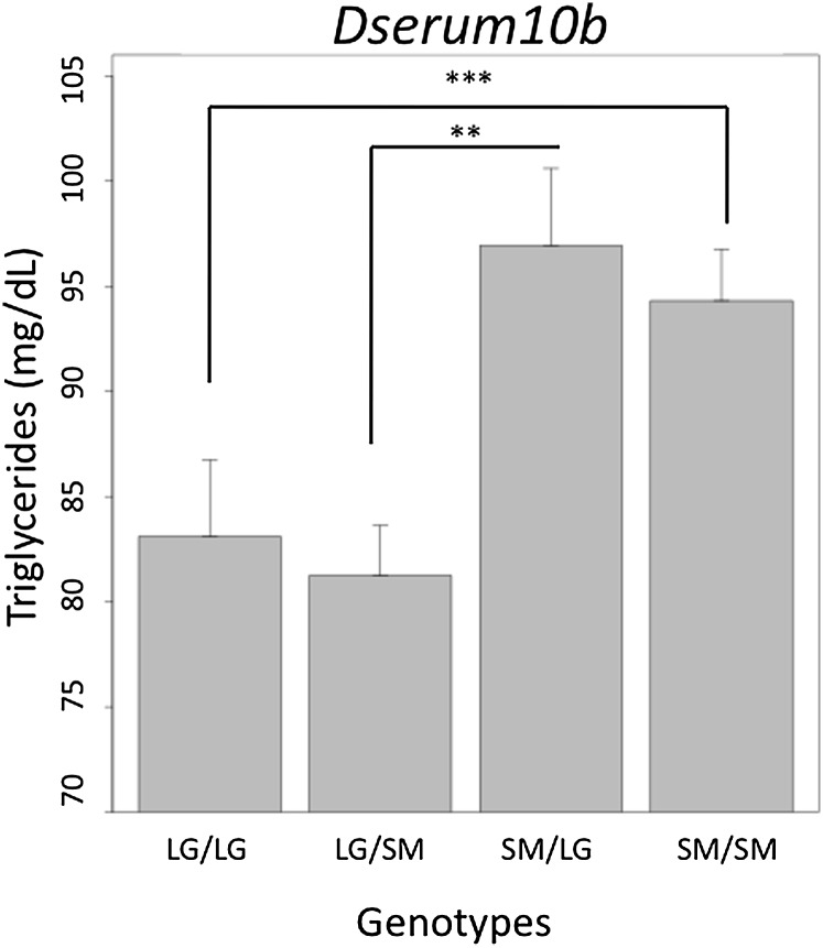 Fig.3.