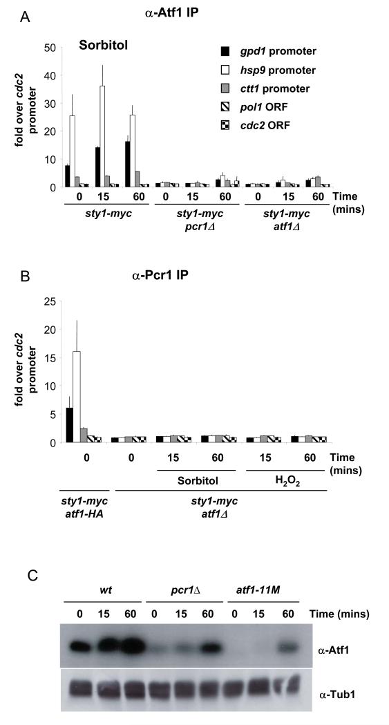 Figure 9