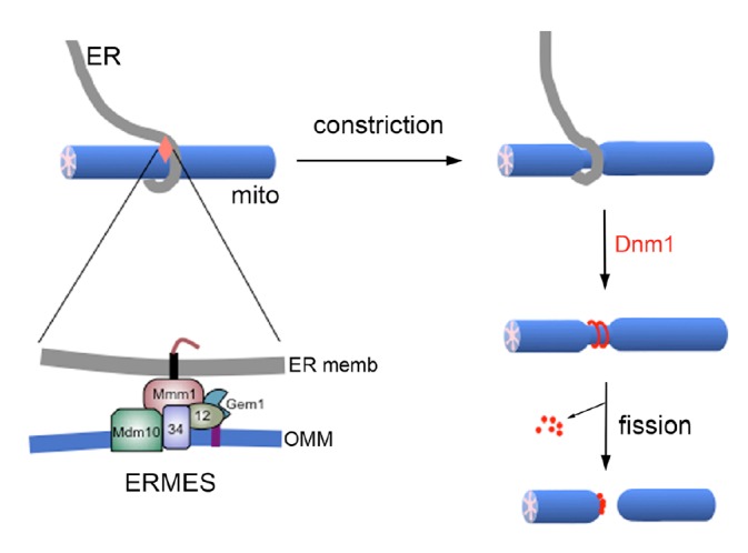 Fig. 2.