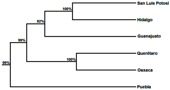 Figure 6