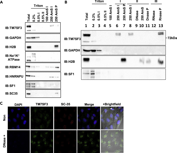 Figure 3