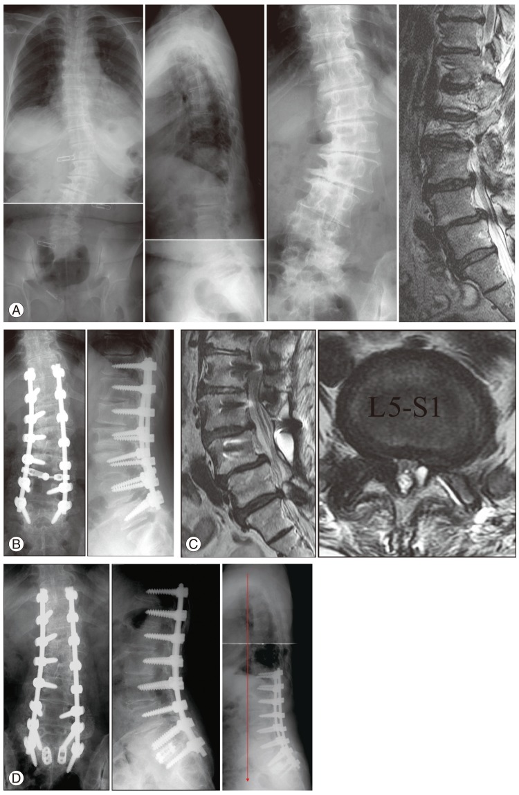 Fig. 4