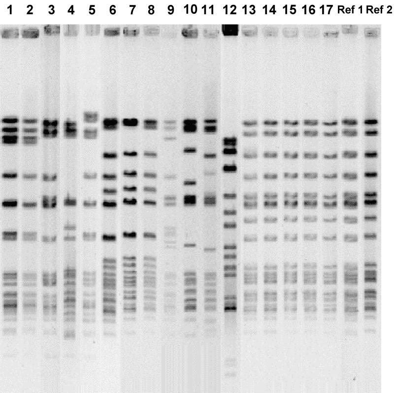 FIG. 1