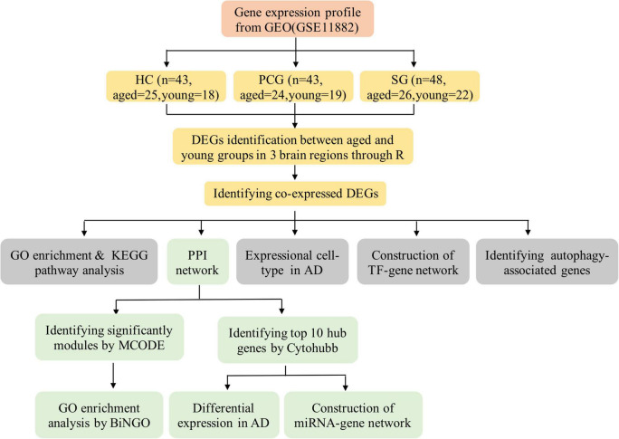 FIGURE 1