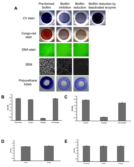 Fig. (1)