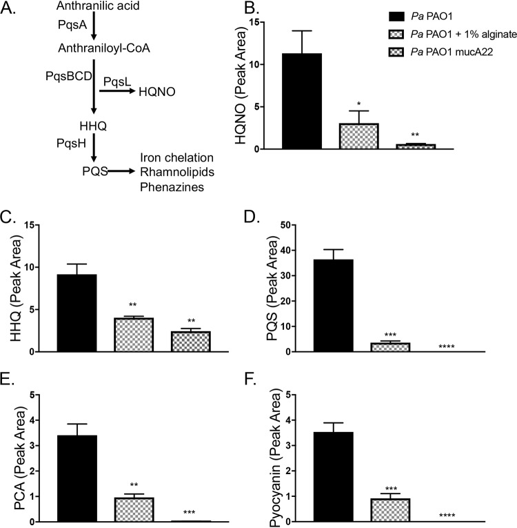 FIG 6