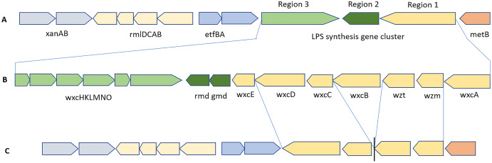 Figure 11