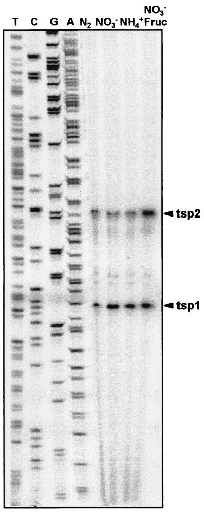 FIG. 5