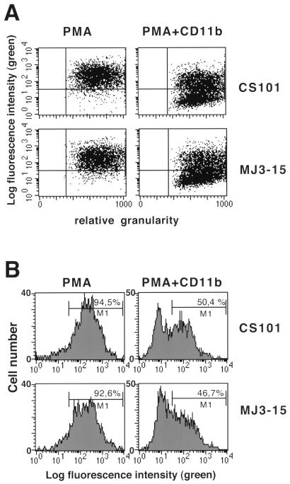 FIG. 6
