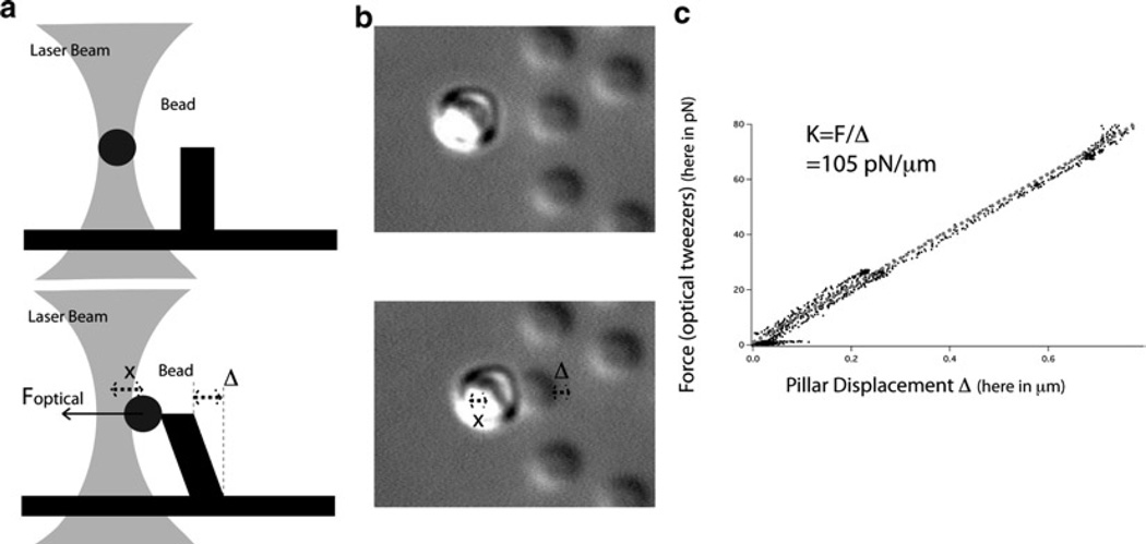 Fig. 4