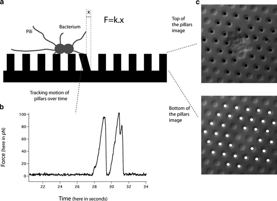 Fig. 6