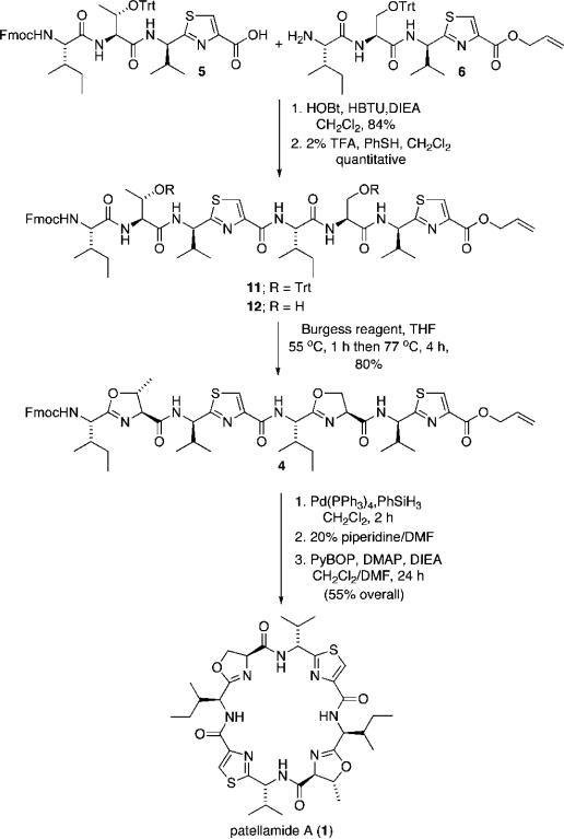 Scheme 2