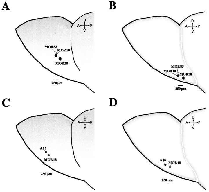 Fig. 9.