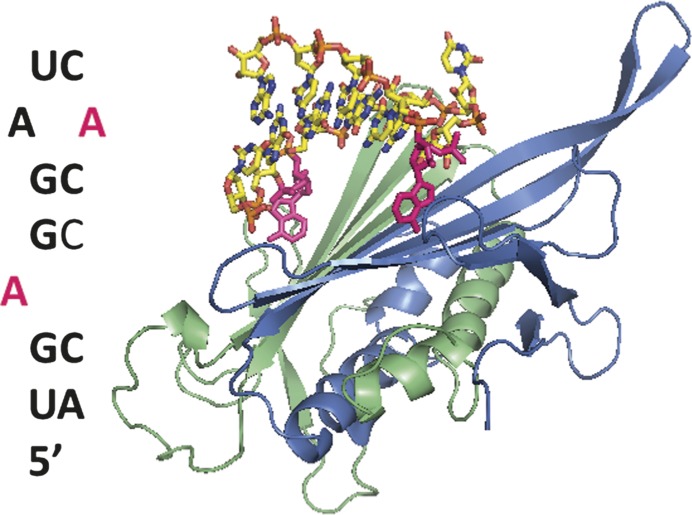 FIGURE 2.