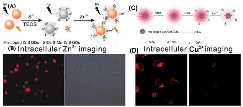 Figure 14